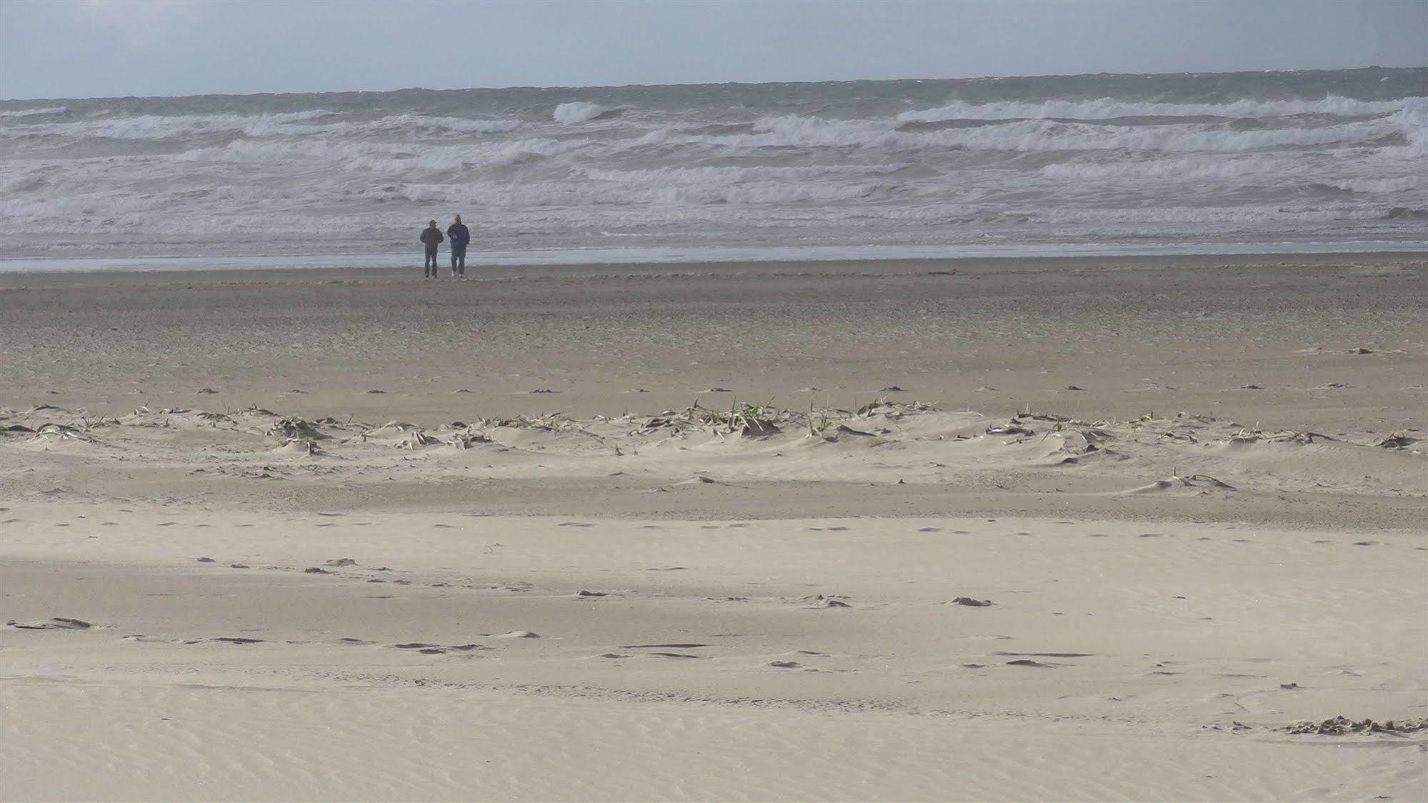 موتيل The Ocean Front At سيسيدي، مونتيري، كاليفورنيا المظهر الخارجي الصورة